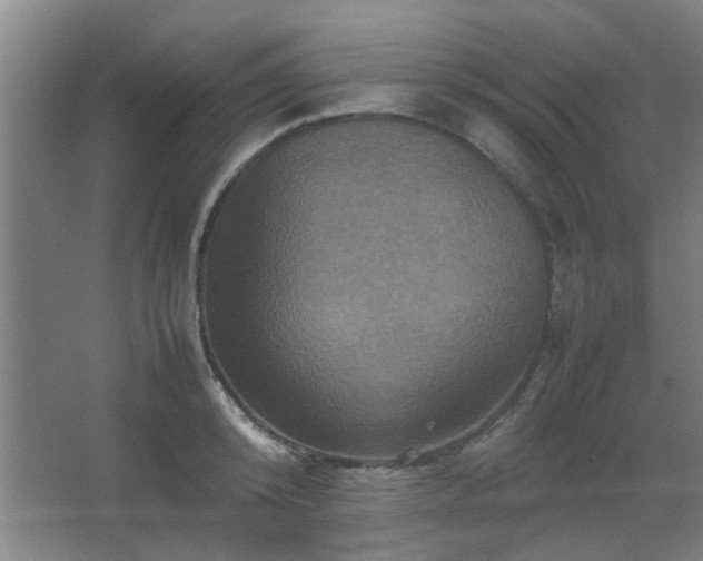 X0000067890800200604131327