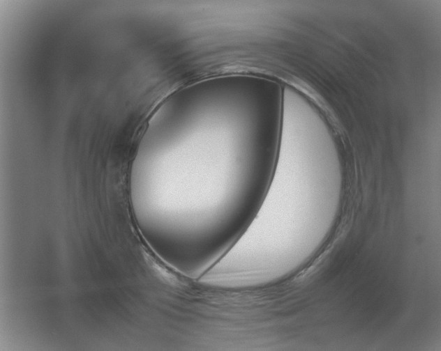 X0000067890801200604131327