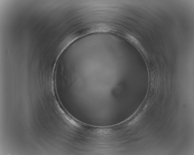 X0000067890802200604131327