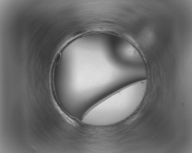 X0000067890803200604131327