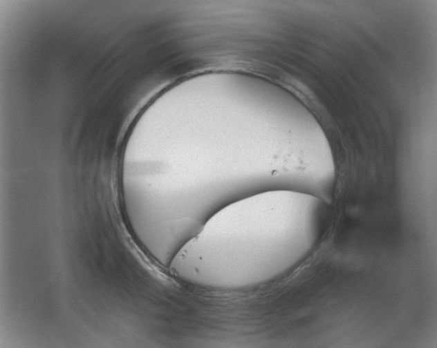 X0000067890804200604131327