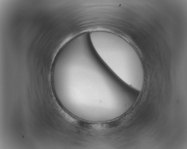 X0000067890805200604131327