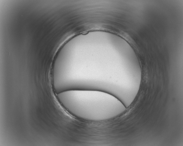 X0000067890806200604131327