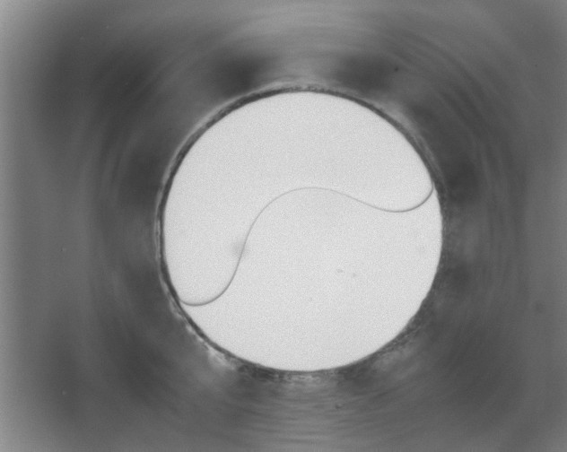 X0000067890807200604131327