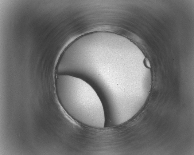 X0000067890808200604131327