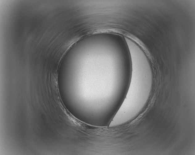 X0000067890809200604131327