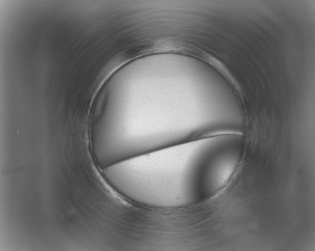 X0000067890810200604131327