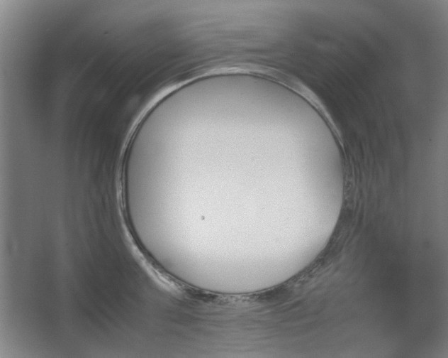 X0000067890811200604131327