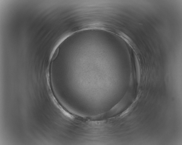 X0000067890812200604131327