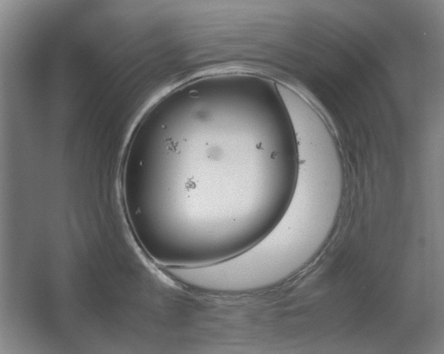 X0000067890813200604131327