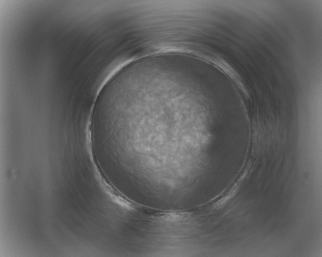 X0000067890814200604131327