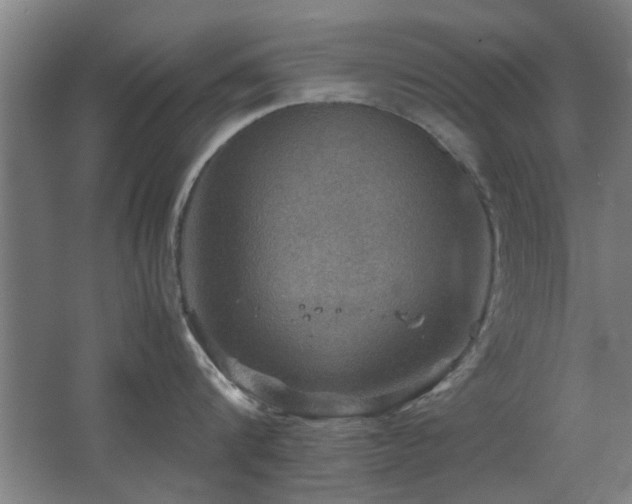 X0000067890816200604131327