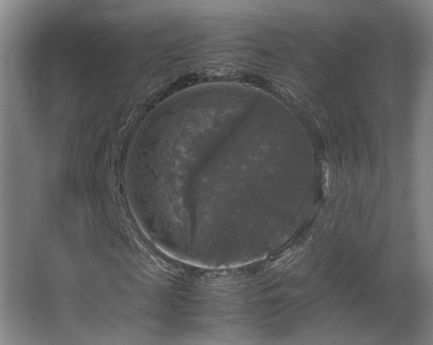 X0000067890817200604131326