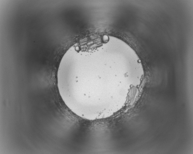 X0000067890820200604131326