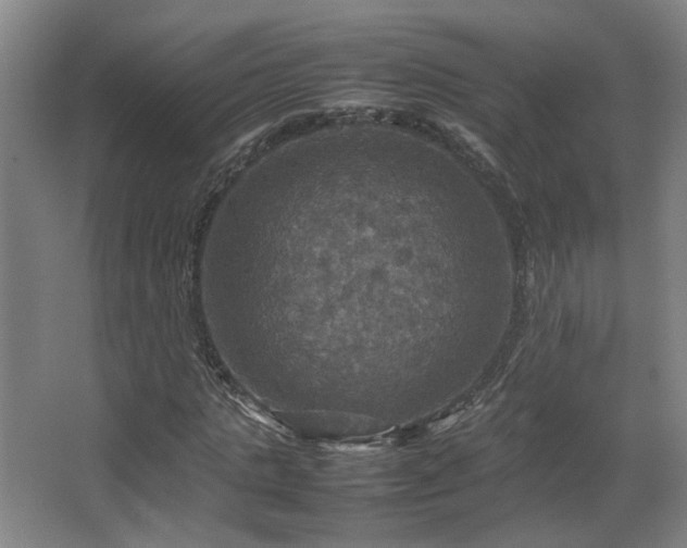 X0000067890821200604131326