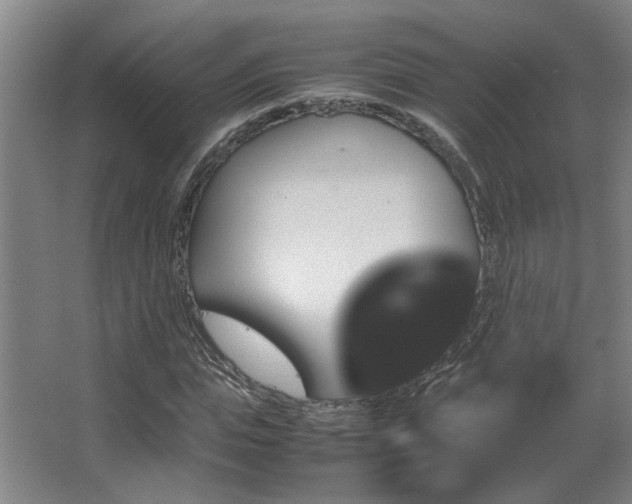 X0000067890823200604131326