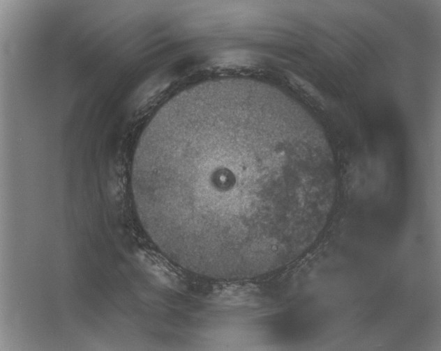 X0000067890824200604131326