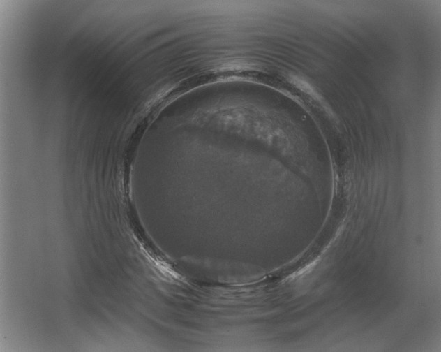 X0000067890825200604131326