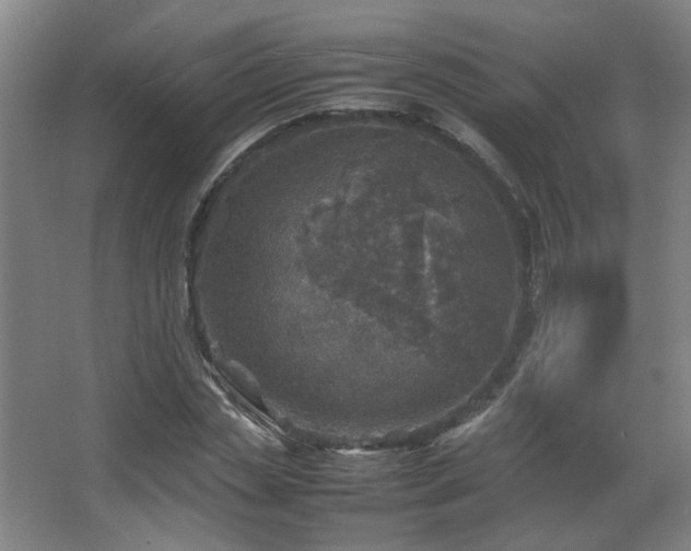 X0000067890829200604131326