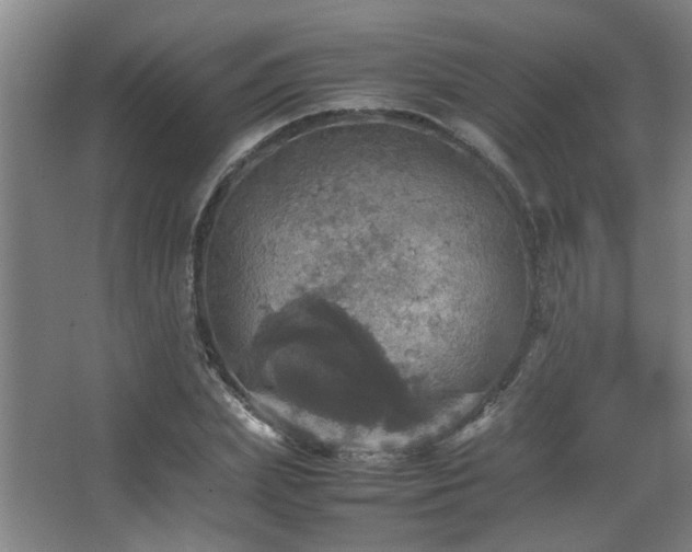 X0000067890831200604131326