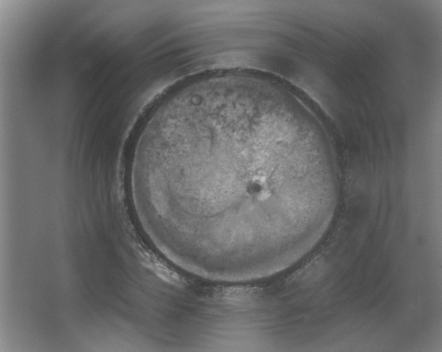 X0000067890832200604131326