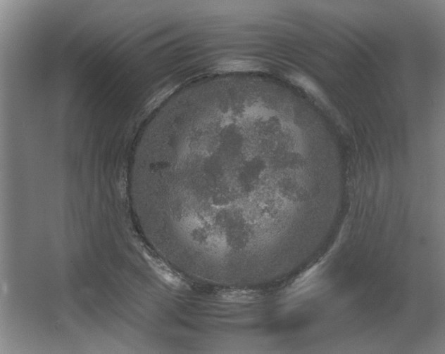 X0000067890833200604131326