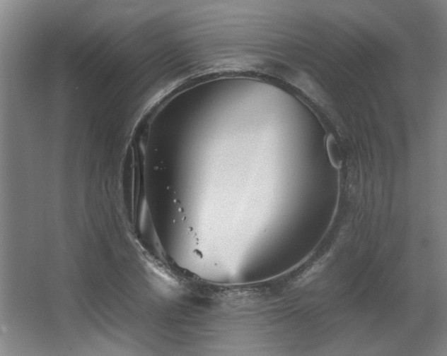 X0000067890834200604131326