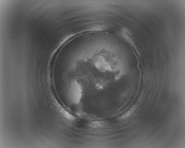 X0000067890835200604131326