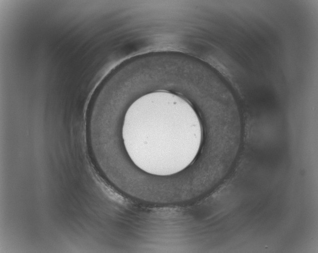 X0000067890836200604131326