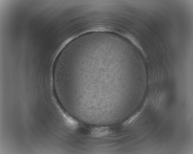 X0000067890837200604131326