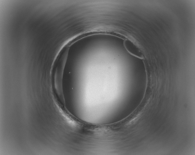 X0000067890838200604131326