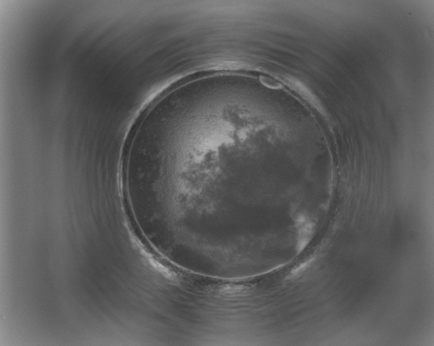 X0000067890839200604131326