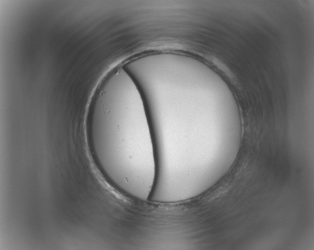 X0000067890840200604131326