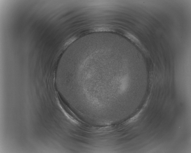 X0000067890841200604131326