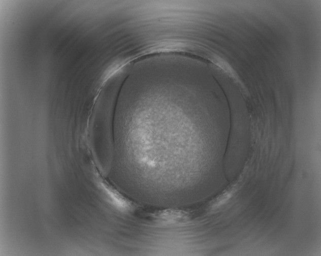 X0000067890842200604131326