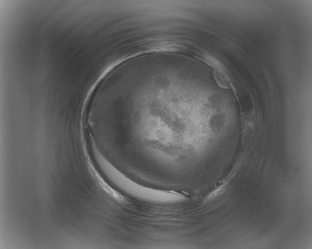 X0000067890843200604131326