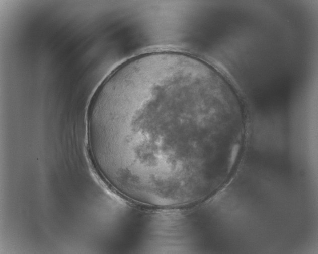 X0000067890844200604131326