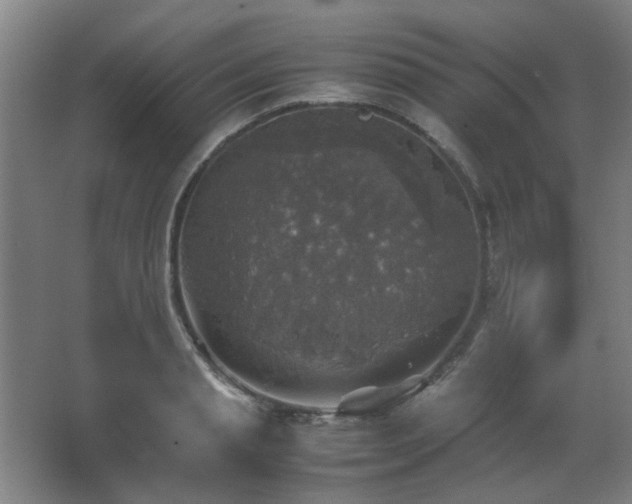 X0000067890845200604131326