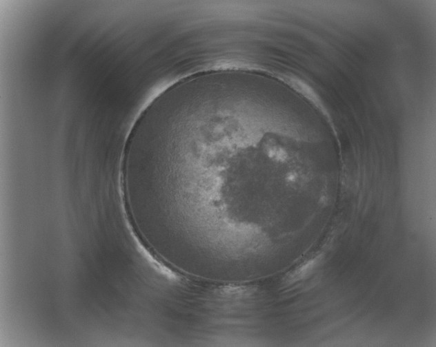 X0000067890847200604131326