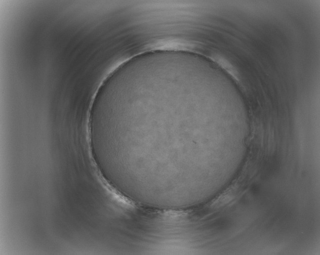 X0000067890848200604131326