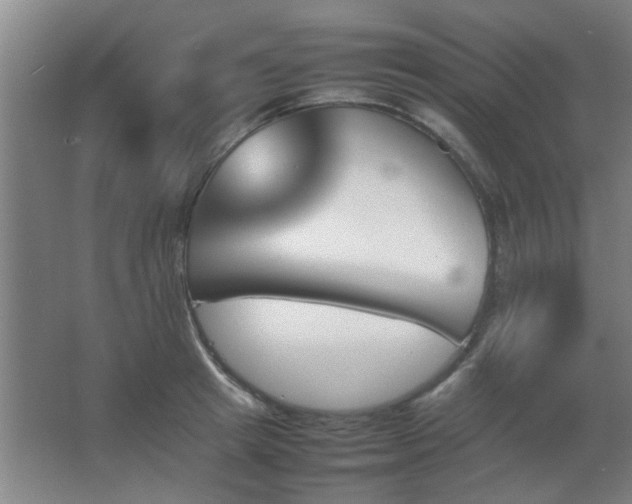 X0000067890849200604131326