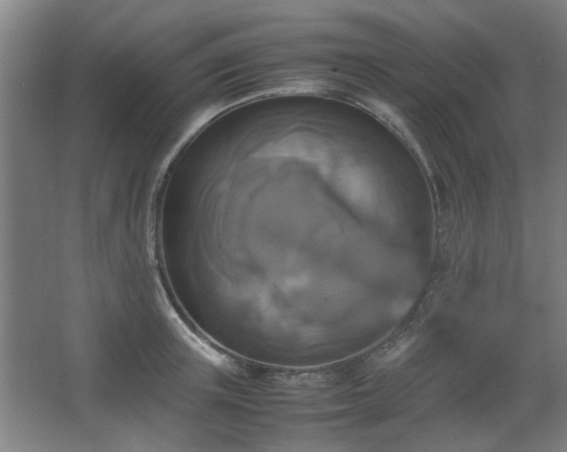 X0000067890851200604131326