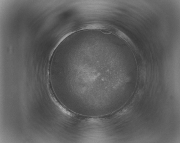 X0000067890852200604131326