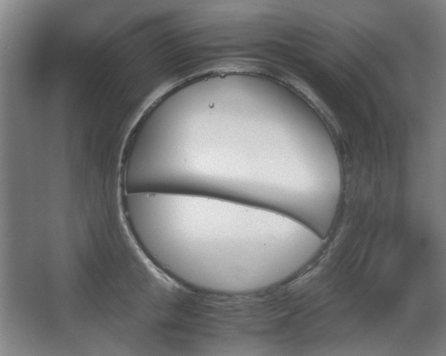 X0000067890853200604131326