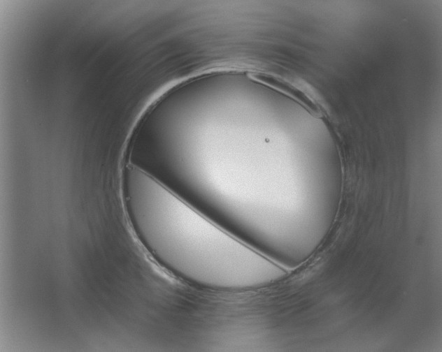 X0000067890854200604131326