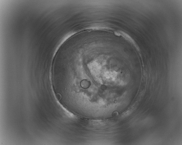 X0000067890855200604131326