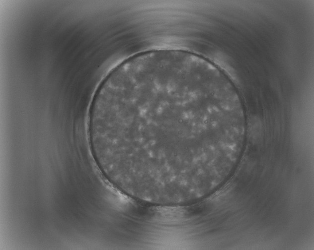 X0000067890856200604131326