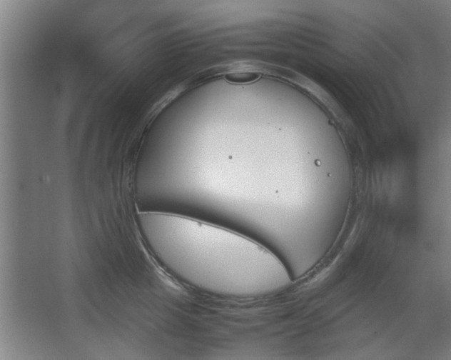 X0000067890857200604131326