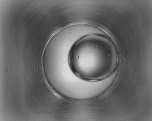 X0000067890858200604131326