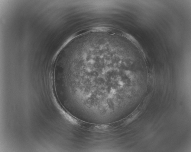 X0000067890859200604131326